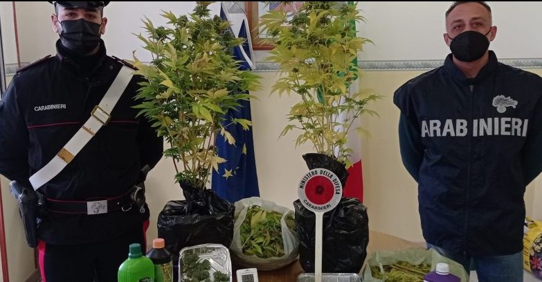 Coltivava cannabis in mansarda: in arresto 40enne