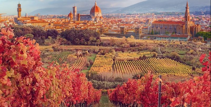 Vinitaly, il vitigno camaiola protagonista alla 54a edizione del salone internazionale del vino