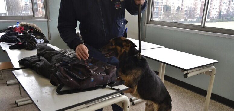 A Benevento è possibile adottare cani poliziotto in pensione