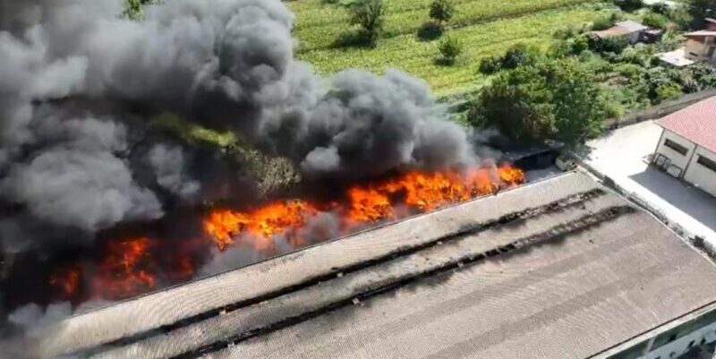 Incendio Airola, petizione con 1.028 firme per sfiduciare il sindaco Falzarano Incendio Airola, petizione con 1.028 firme per sfiduciare il sindaco Falzarano