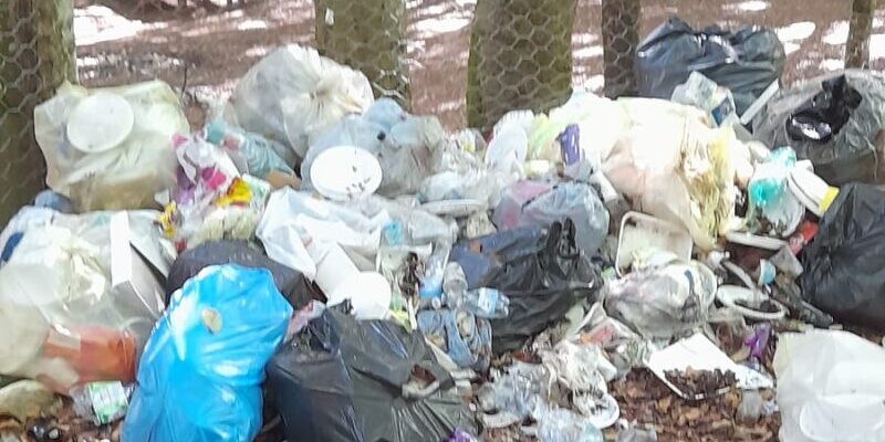 Parco Naturale del Taburno, Italia Verde: “Sicurezza e vigilanza restano un’utopia”