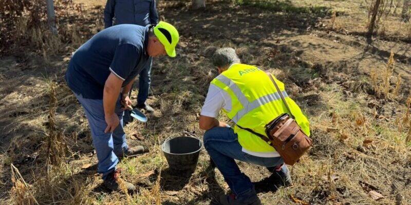Rogo Airola, Sandomenico rileva: “Nuovi campioni contaminati nei comuni vicini” Rogo Airola, Sandomenico rileva: “Nuovi campioni contaminati nei comuni vicini”