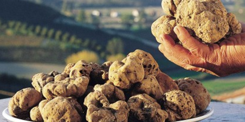 MangiarSannio| Cavatelli con crema di pecorino e tartufo bianco di Ceppaloni